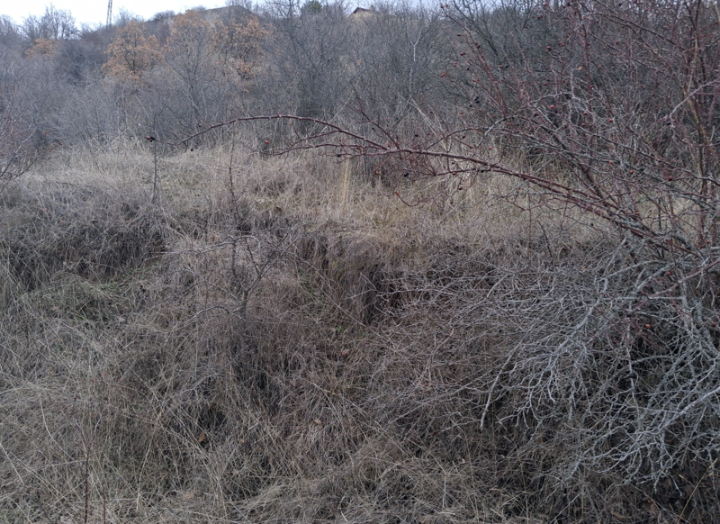 ÇANKIRI ILGAZ'DA 876 M2 SATILIK HİSSELİ TARLA